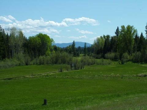 280 Tower Rd, Cocolalla, ID 83813 photo 59