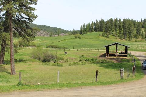 499 Johnston Rd, Plummer, ID 83851 photo 27