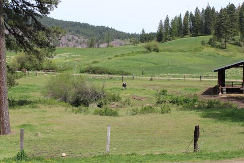 499 Johnston Rd, Plummer, ID 83851 photo 28