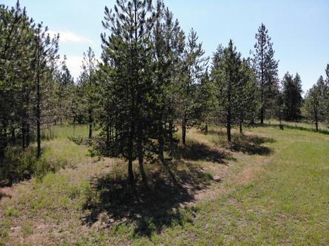 2542 E War Eagle Ave, Athol, ID 83801 photo 7