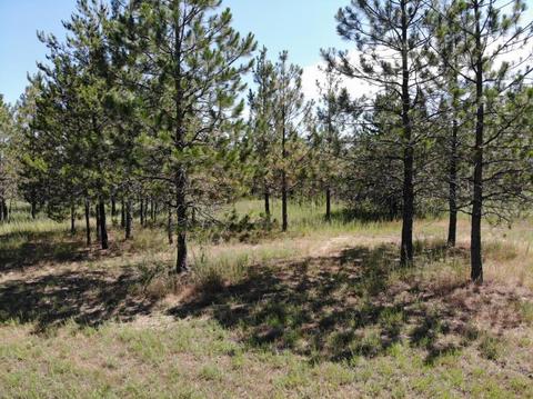2542 E War Eagle Ave, Athol, ID 83801 photo 10
