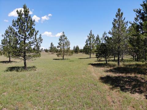2542 E War Eagle Ave, Athol, ID 83801 photo 9