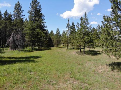 2542 E War Eagle Ave, Athol, ID 83801 photo 8