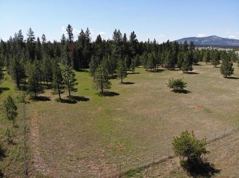 2542 E War Eagle Ave, Athol, ID 83801 photo 12
