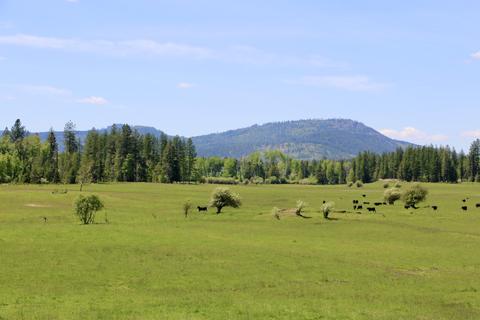 2980 S Sagle Rd, Sagle, ID 83860 photo 2