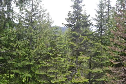 37 Silver Reef Rd, Sagle, ID 83860 photo 23