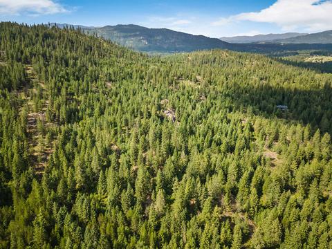 378 Roberts Ridge Road, Cocolalla, ID 83813 photo 41