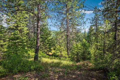 378 Roberts Ridge Road, Cocolalla, ID 83813 photo 22