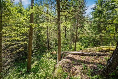 378 Roberts Ridge Road, Cocolalla, ID 83813 photo 12