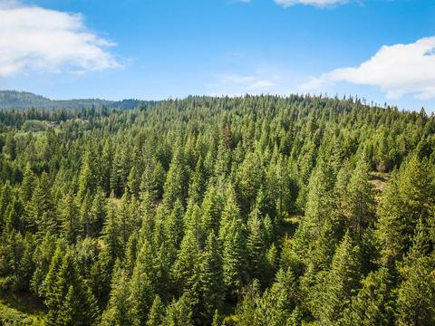 378 Roberts Ridge Road, Cocolalla, ID 83813 photo 54