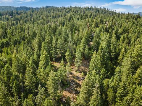 378 Roberts Ridge Road, Cocolalla, ID 83813 photo 55