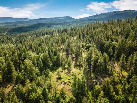 378 Roberts Ridge Road, Cocolalla, ID 83813 photo 52