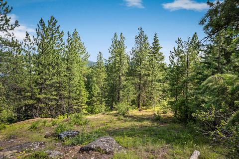 378 Roberts Ridge Road, Cocolalla, ID 83813 photo 19