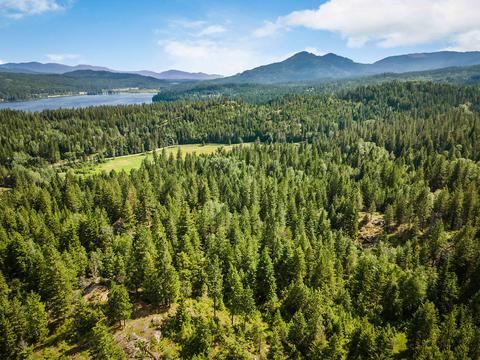 378 Roberts Ridge Road, Cocolalla, ID 83813 photo 44