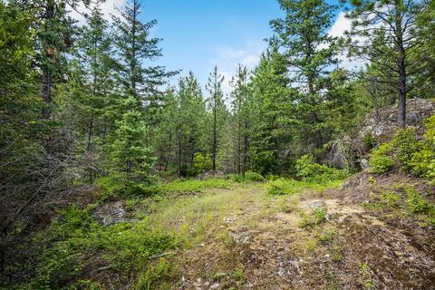 378 Roberts Ridge Road, Cocolalla, ID 83813 photo 34
