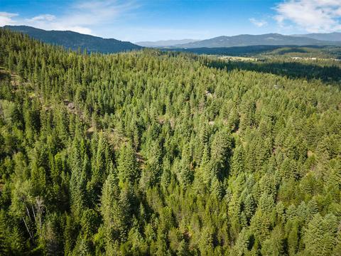 378 Roberts Ridge Road, Cocolalla, ID 83813 photo 37