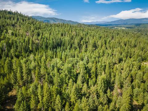 378 Roberts Ridge Road, Cocolalla, ID 83813 photo 56