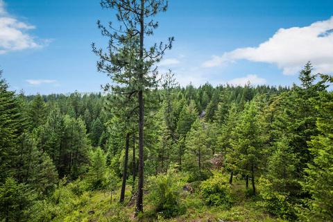 378 Roberts Ridge Road, Cocolalla, ID 83813 photo 32