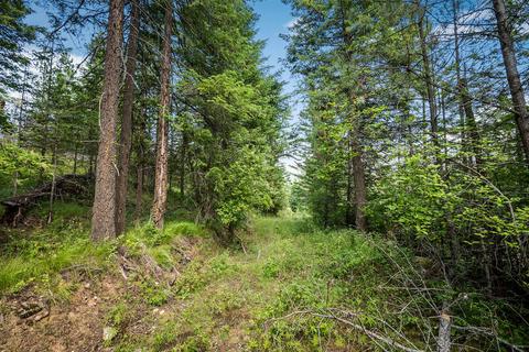 378 Roberts Ridge Road, Cocolalla, ID 83813 photo 26