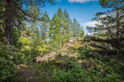 378 Roberts Ridge Road, Cocolalla, ID 83813 photo 13