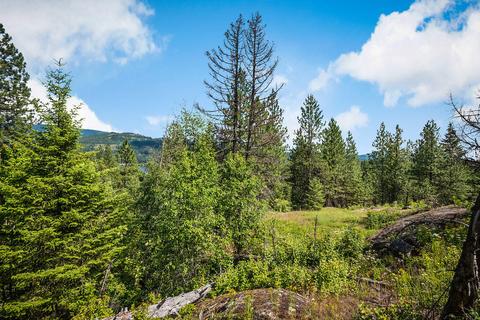 378 Roberts Ridge Road, Cocolalla, ID 83813 photo 14