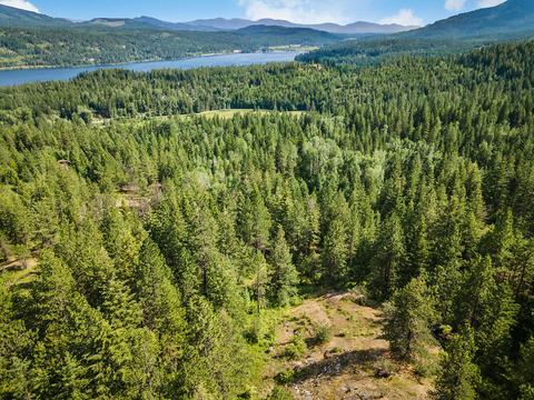 378 Roberts Ridge Road, Cocolalla, ID 83813 photo 48