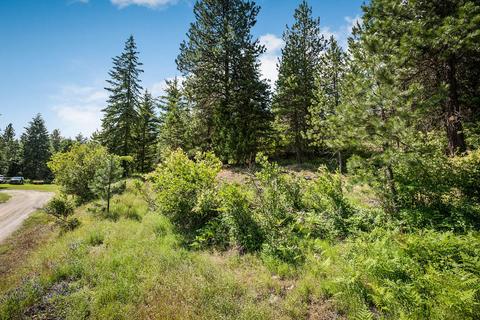 378 Roberts Ridge Road, Cocolalla, ID 83813 photo 3