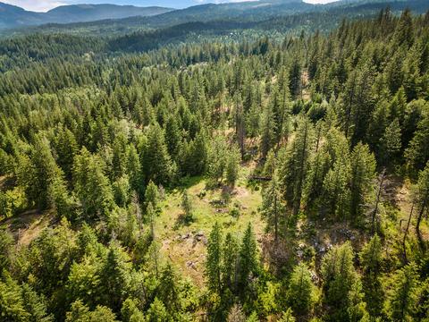 378 Roberts Ridge Road, Cocolalla, ID 83813 photo 51