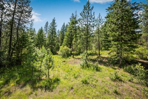 378 Roberts Ridge Road, Cocolalla, ID 83813 photo 2