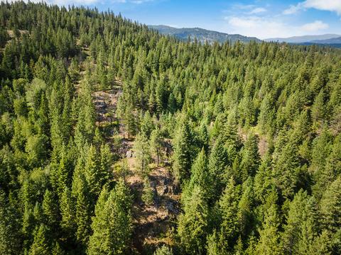 378 Roberts Ridge Road, Cocolalla, ID 83813 photo 57