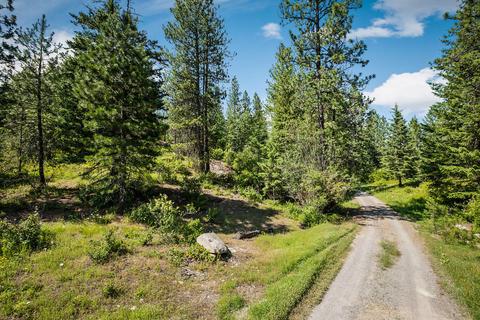378 Roberts Ridge Road, Cocolalla, ID 83813 photo 4