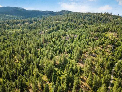 378 Roberts Ridge Road, Cocolalla, ID 83813 photo 42