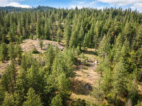 378 Roberts Ridge Road, Cocolalla, ID 83813 photo 46
