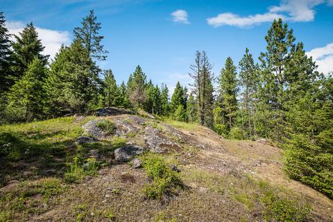 378 Roberts Ridge Road, Cocolalla, ID 83813 photo 20