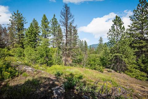 378 Roberts Ridge Road, Cocolalla, ID 83813 photo 18