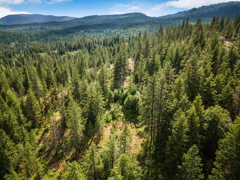 378 Roberts Ridge Road, Cocolalla, ID 83813 photo 49