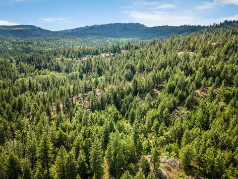 378 Roberts Ridge Road, Cocolalla, ID 83813 photo 43
