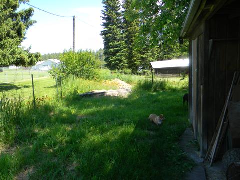158 5th St, Plummer, ID 83851 photo 17