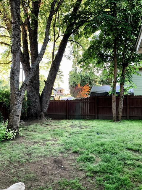 122 SE 6th St S, Oldtown, ID 83822 photo 3
