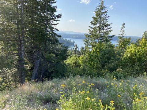 5437 E Red Hawk Trl, Hayden, ID 83835 photo 1
