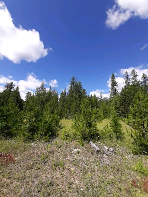 2301 Roop, Cocolalla, ID 83813 photo 49