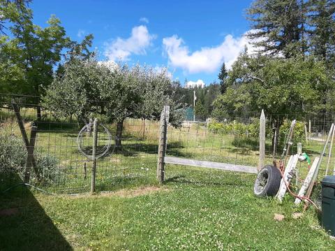 2301 Roop, Cocolalla, ID 83813 photo 15