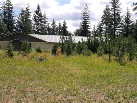 2301 Roop, Cocolalla, ID 83813 photo 37