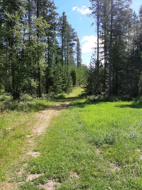 2301 Roop, Cocolalla, ID 83813 photo 34