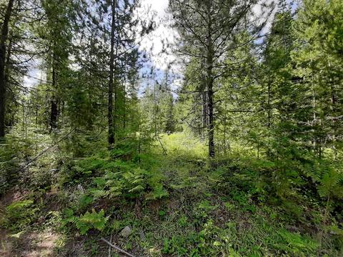 2301 Roop, Cocolalla, ID 83813 photo 50