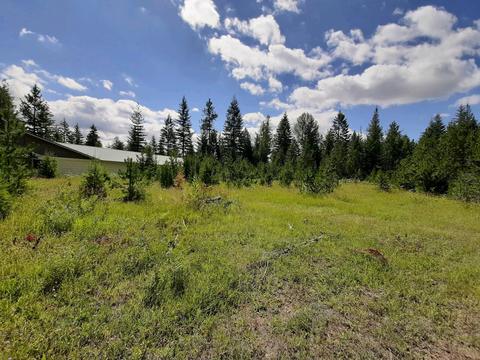 2301 Roop, Cocolalla, ID 83813 photo 38