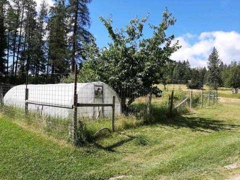 2301 Roop, Cocolalla, ID 83813 photo 32