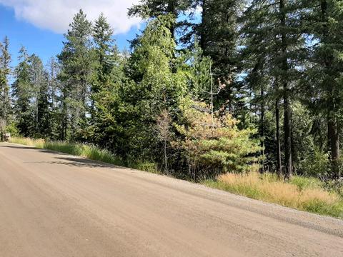 2301 Roop, Cocolalla, ID 83813 photo 24