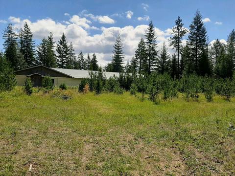 2301 Roop, Cocolalla, ID 83813 photo 36