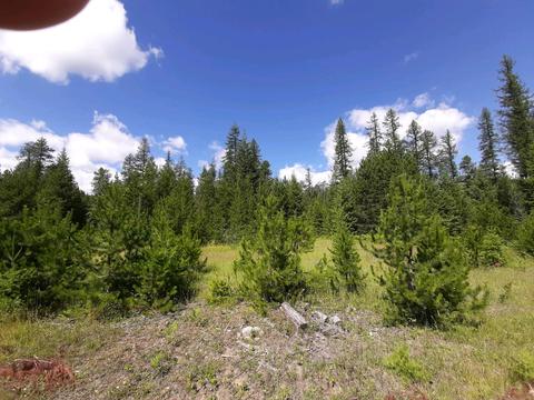 2301 Roop, Cocolalla, ID 83813 photo 48